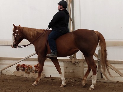 Jennifer riding Rosemary bareback