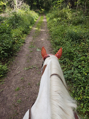 Rayne on a trail ride