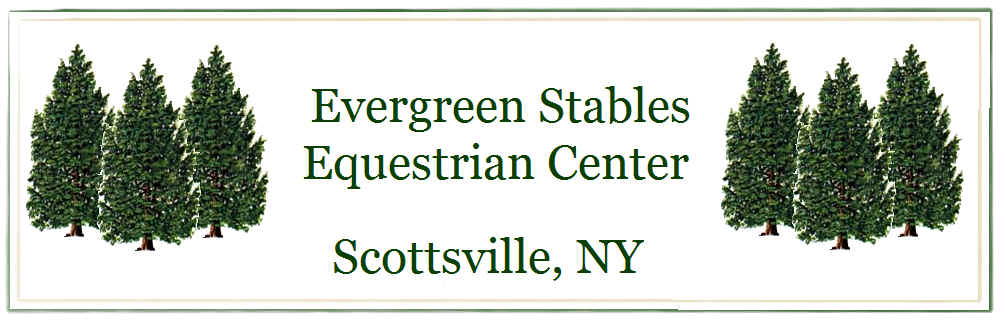 Evergreen Stables Equestrian Center in Scottsville, NY with evergreen trees